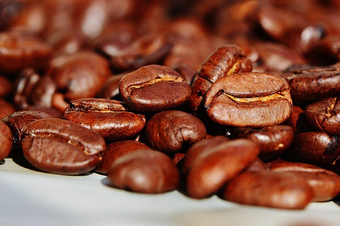 Происхождение кофейных зёрен сначала ошибочно приписали дикой акации. / Фото: islam.ru
