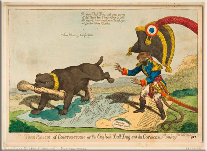 «Яблоко раздора, или Английский бульдог и корсиканская обезьяна» — сатирическая гравюра 1803 года, обыгрывающая страх англичан перед французским вторжением. Родившийся на Корсике Наполеон изображался в виде корсиканской обезьяны.