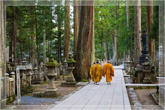 Сингонские буддийские монахи в шафрановых одеждах прогуливаются дн'м &#8203;&#8203;по кладбищу Окуноин в Коясане.