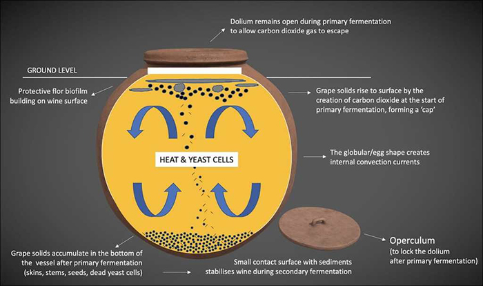 Схематическое изображение процесса ферментации в долии или квеври. / Фото: labrujulaverde.com/