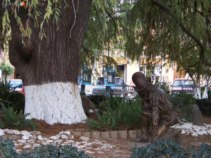 Дерево, которое вырастили из ростка того самого древнего кипариса и памятник Эрнану Кортесу. / Фото: mexicoenfotos.com