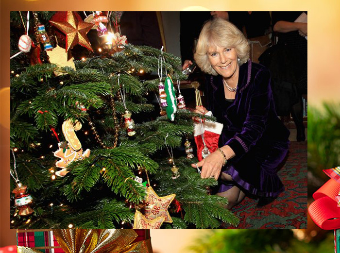 Камилла, герцогиня Корнуоллская, помогает детям из Дома Хелен и Дуглас и Лондонского фонда таксистов для малообеспеченных детей украсить ёлку в Кларенс-хаусе 6 декабря 2011 года в Лондоне, Англия. 