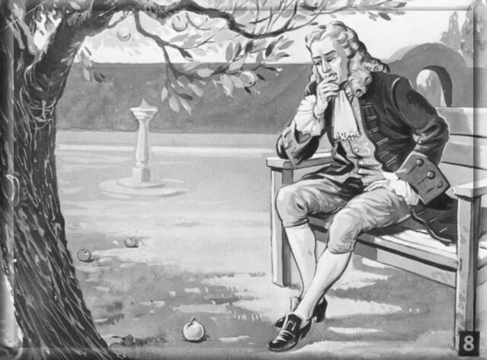 Исаак Ньютон после инцидента с яблоком. 