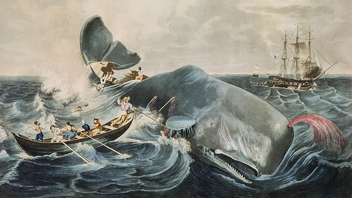 Моряки, охотящиеся на Белого кита вместе с капитаном Ахавом. / Фото: economist.com