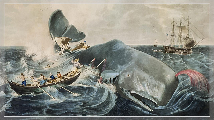 Современный Иона: история моряка Джеймса Бартли, которого проглотил кит, но он выжил 