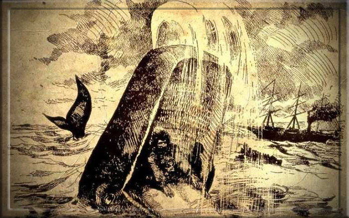 Современный Иона: история моряка Джеймса Бартли, которого проглотил кит, но он выжил 