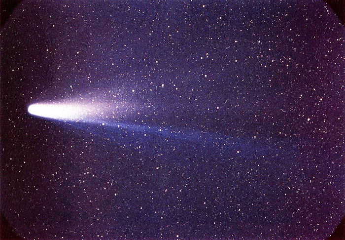 Комета Галлея. / Фото: wikipedia.org