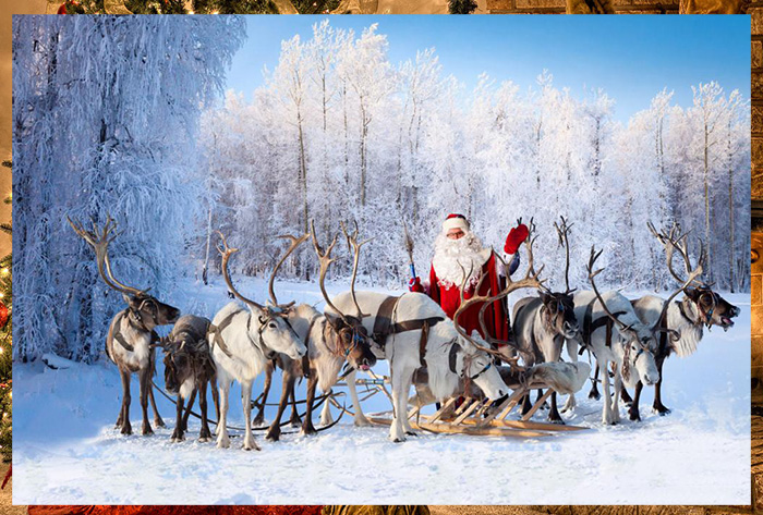 Санта Клаус и его олени.