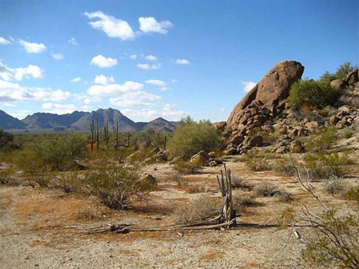 Согласно легенде, семь золотых городов можно найти в пустыне Сонора, штат Аризона. / Фото: wikimedia.org