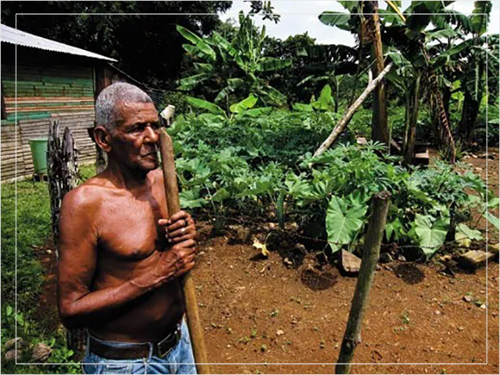 В доминиканской деревне Сабана-де-лос-Хавьелес фермер сажает свой сад в манере таино.