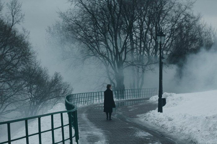 Туман. Автор Alina Autumn.