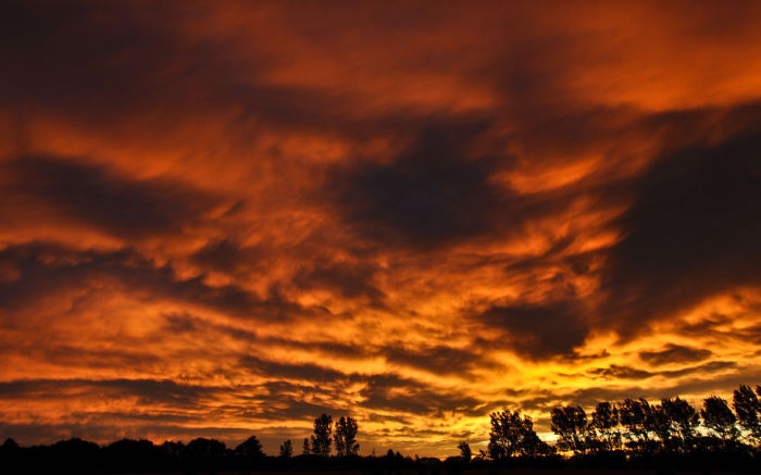 ,  (Ashburton Sunset).  :   (Anthony Harrison).