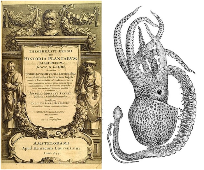 Слева направо: Фронтиспис к версии 1644 года Истории плантарума Теофраста, первоначально написанной около 300 года до н.э. \ Среди многих новаторских зоологических наблюдений Аристотель описал репродуктивную гектокотильную руку осьминога (внизу слева).