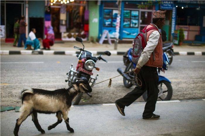 Жизнь на улицах Непала. Автор фото: Bilal Salameh.