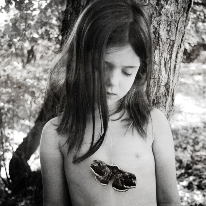 Бабочка внутри меня. Автор: Dara Scully.
