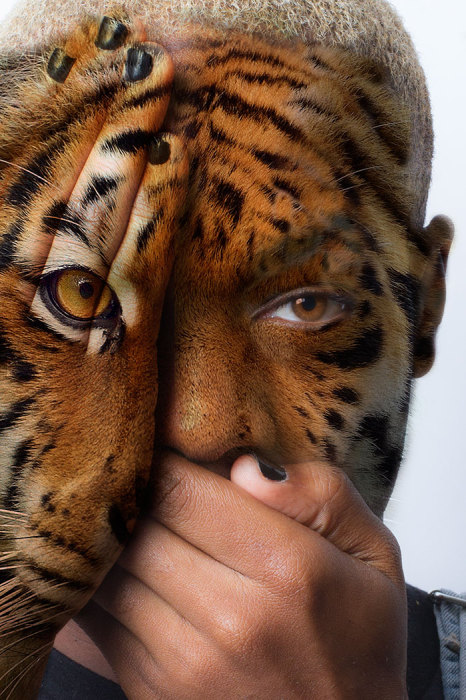 Тигр. Потрясающий фото-проект «Дикие лица» от Девина Митчелла (Devin Mitchell).