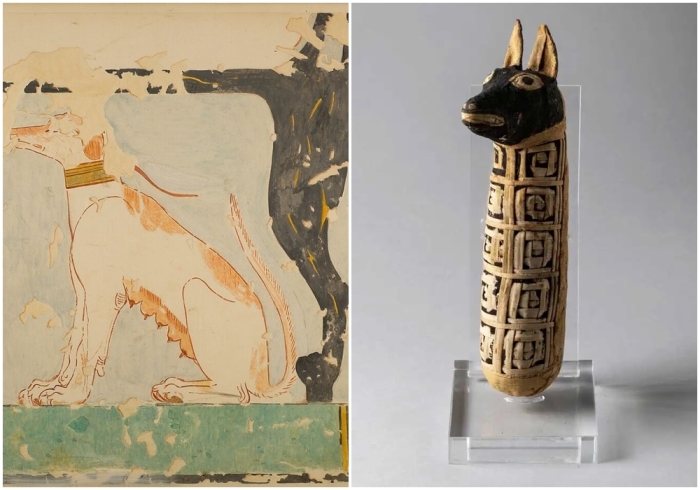 Слева направо: Факсимиле картины в гробнице Небамона, изображающей собаку, сидящую под креслом своего владельца, около 1479-1458 годов до н.э. \ Египетская собачья мумия, 30-395 годы н.э.