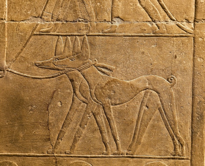 Рельеф из гробницы Мерерука, изображающий двух собак на поводке, около 2345-2333 годов до н.э. \ Фото: bing.com.
