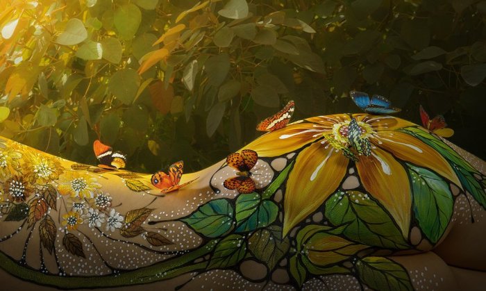 Бабочки в солнечных лучах. Автор: Duong Quoc Dinh.