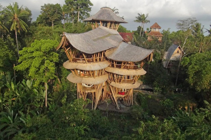 Бамбуковый кампус на Бали. Автор идеи: Elora Hardy.
