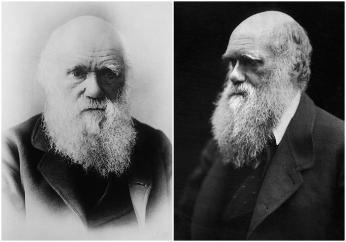 Чарлз Роберт Дарвин — английский натуралист и путешественник, одним из первых пришедший к выводу и обосновавший идею о том, что все виды живых организмов эволюционируют со временем и происходят от общих предков.