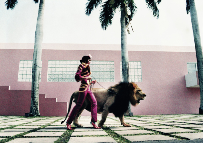 Светская львица на прогулке со львом. Автор: Esther Haase.