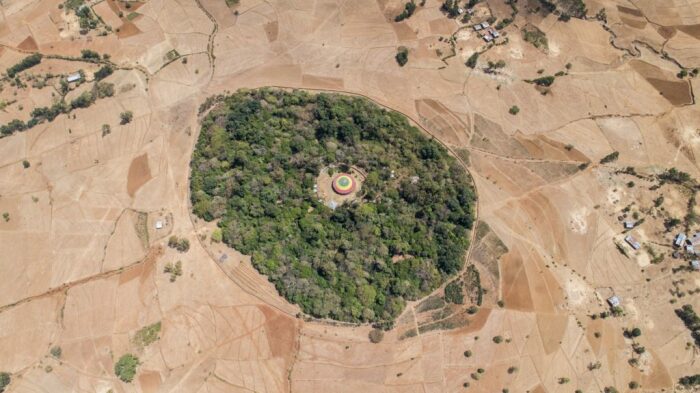 Вид с беспилотника на церковный лес на севере Эфиопии, (фотографы: Jeremy Seifert и Fred Bahnson). \ Фото: gaianism.org.