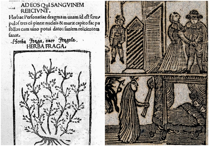 Слева направо: Страница из гербария Апулея Барбаруса, 1483 год. \ Гравюра на дереве, изображающая ведьму и дьявола, 1720 год.