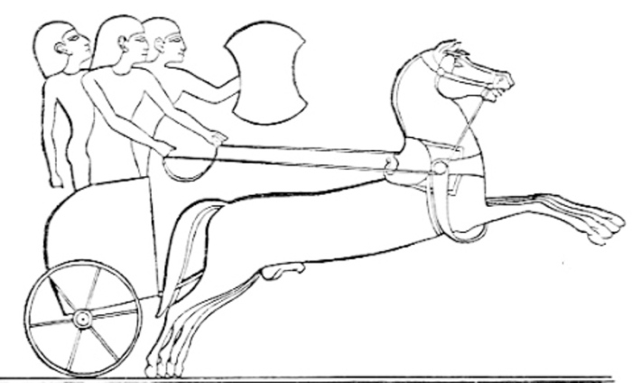 На этой картине нарисована хеттская колесница, изображённая на египетском рельефе, представляющем битву при Кадеше. \ Фото: educalingo.com.