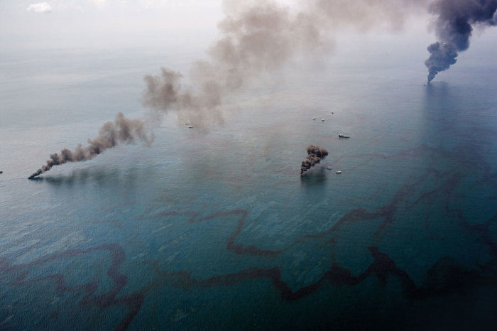 Нефть, Мексиканский залив. Автор: J Henry Fair.