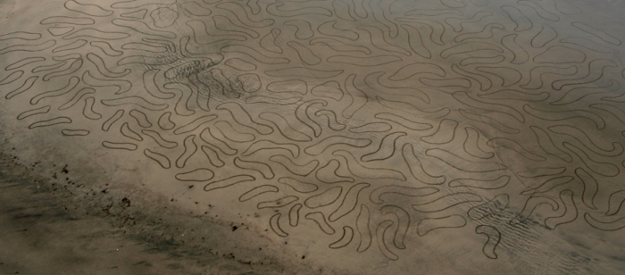 Необычные рисунки на песке. Автор: Jim Denevan.