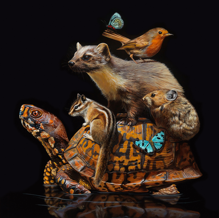 Мир, который держит черепаха на своей спине. Автор: Lisa Ericson.