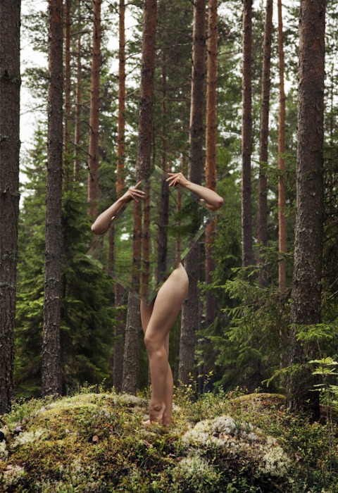 Лес, объятый тишиной. Автор: Loreal Prystaj.