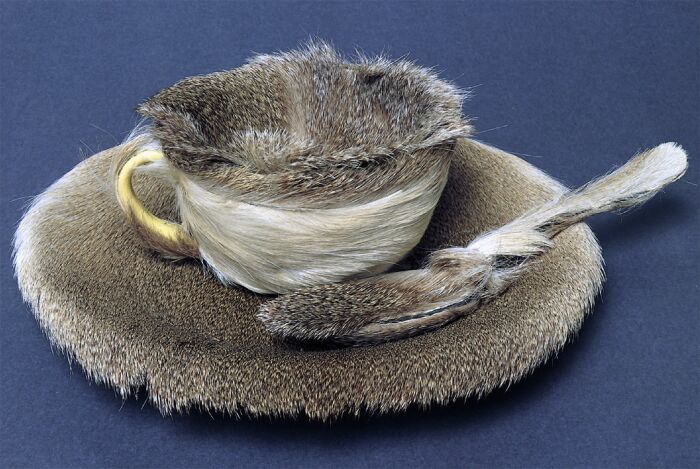 Объект (Чайный меховой прибор), Мерет Оппенгейм, 1936 год. \ Фото: bing.com.
