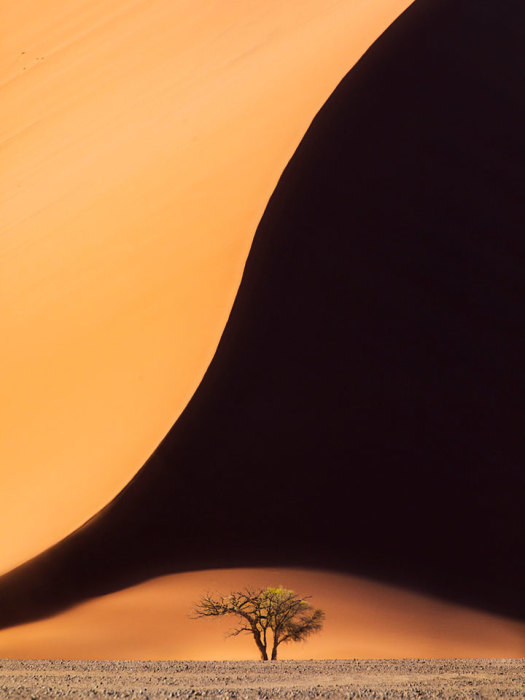 Победитель в категории «пейзаж»: Намибийские кривые. Автор: Paul Zizka, Канада.
