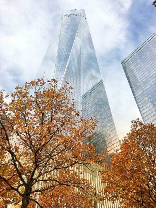 Победитель в категории «города и природа»: Осень в большом яблоке. Автор: Yonca Ables, США.