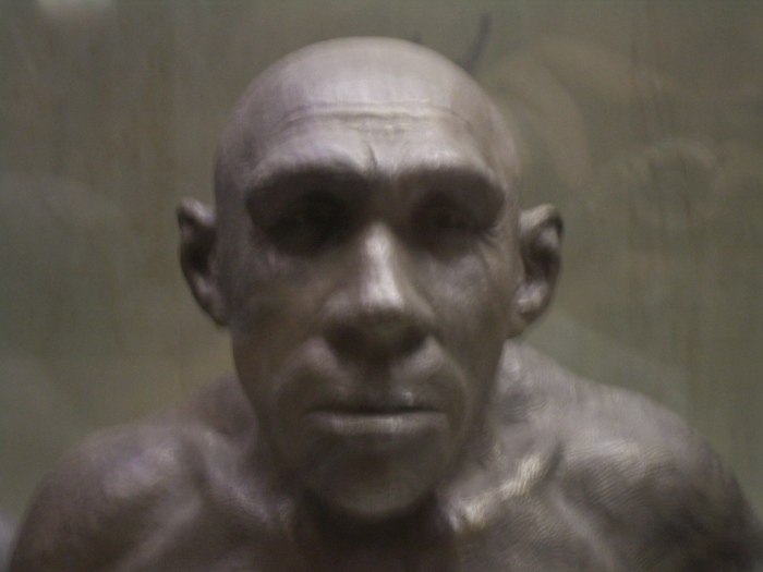 Неандерталец из грота Ла-Ферраси анфас. \ Фото: bing.com.