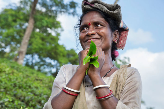 Женщина из Шримангала, Бангладеш. Автор: Pascal Mannaerts.