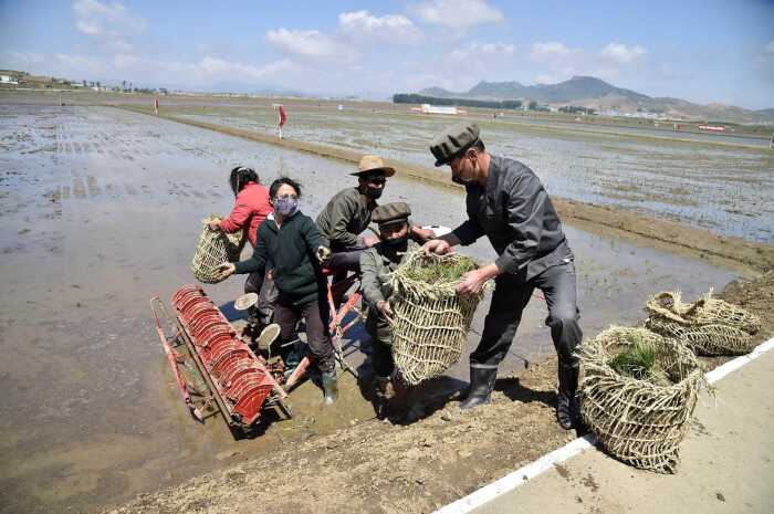 Фотография фермеров в Северной Корее. \ Фото: amazonaws.com.