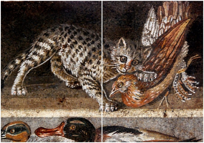 Мозаика с изображением кошки, ловящей перепела, II век до н.э., Помпеи.