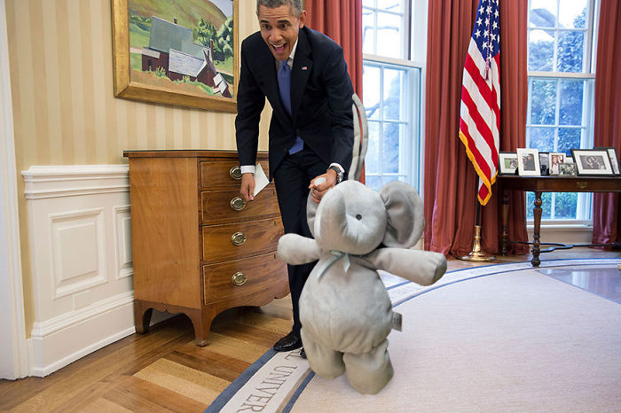Слон посетил Барака Обаму в Овальном кабинете Белого дома.