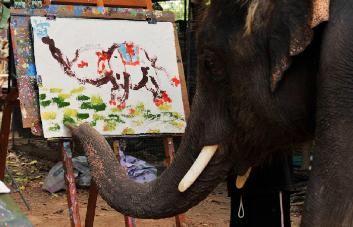 картины нарисованные слонами