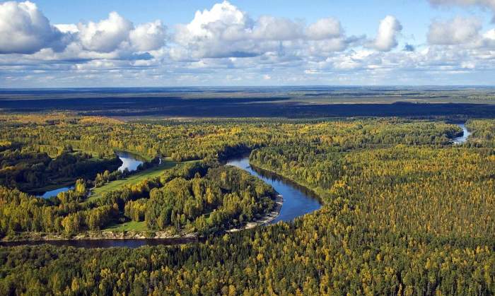 Васюган — река на юге Западно-Сибирской равнины, левый приток Оби.