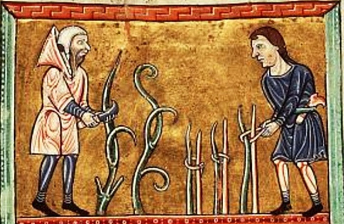 Мужчины в винограднике, книжная миниатюра, ок. 1180 года. \ Фото: blogspot.com.