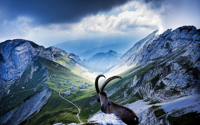 Великолепные природные просторы. Швейцария.