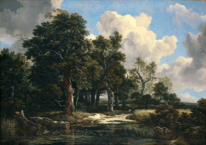 Лесной пейзаж, ок. 1660 года, Якоб Исакс ван Рёйсдал, Вустер колледж, Оксфорд. \ Фото: document.no.