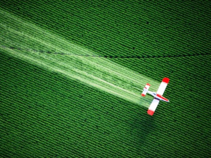 Эти сельскохозяйственные самолёты используются для распыления пестицидов и удобрений на сельскохозяйственных полях.