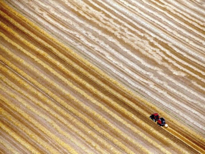Фермер использует свой трактор для сбора тюков сена после сбора урожая пшеницы.