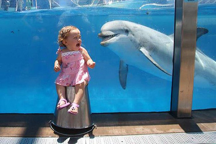 Малышка и дельфин.