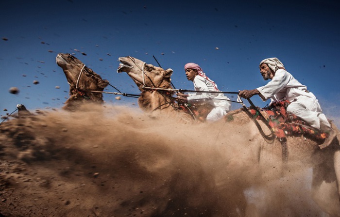Работа фотографа Ахмед Аль Токи (Ahmed Al Toqi), занявшая третье место, категория «Открытые пространства», сделанная на верблюжьих скачках в Омане.